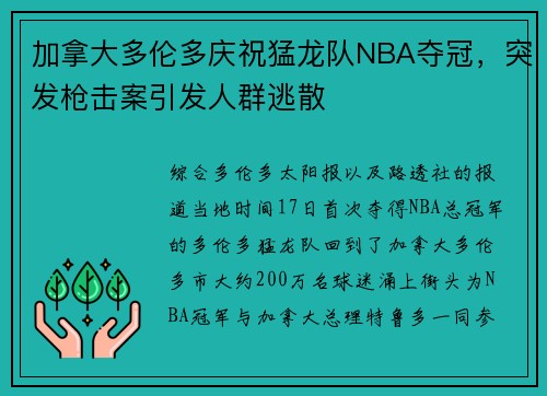 加拿大多伦多庆祝猛龙队NBA夺冠，突发枪击案引发人群逃散