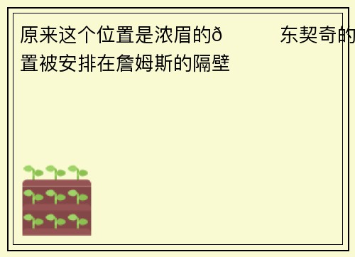 原来这个位置是浓眉的👀东契奇的位置被安排在詹姆斯的隔壁